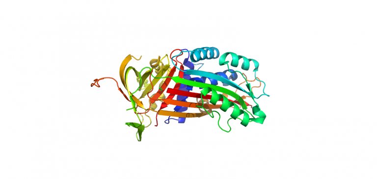 2Arr-Plasminogen-inhibor-2-serpin