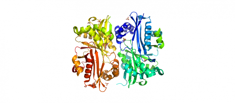 3I9s-Metagenome-Cholreae-Cass6