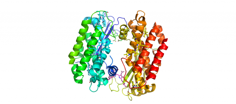 4LM6-PC612-H.Virescens